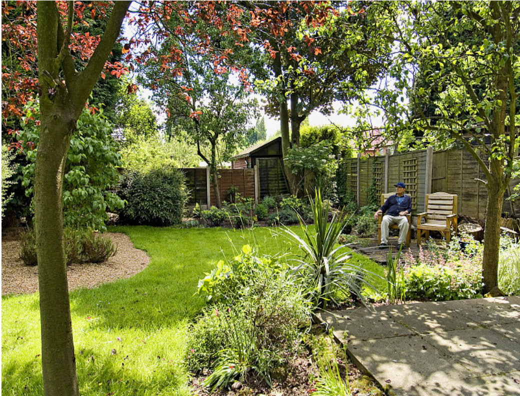 Back Garden